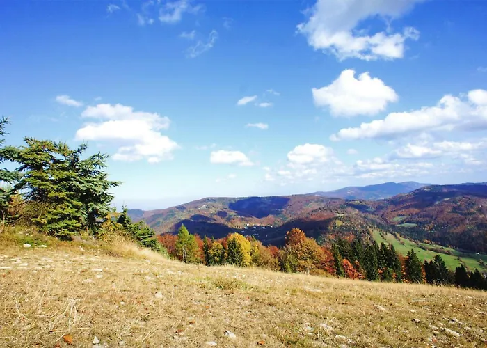 1 Bedroom Awesome In Appartement *